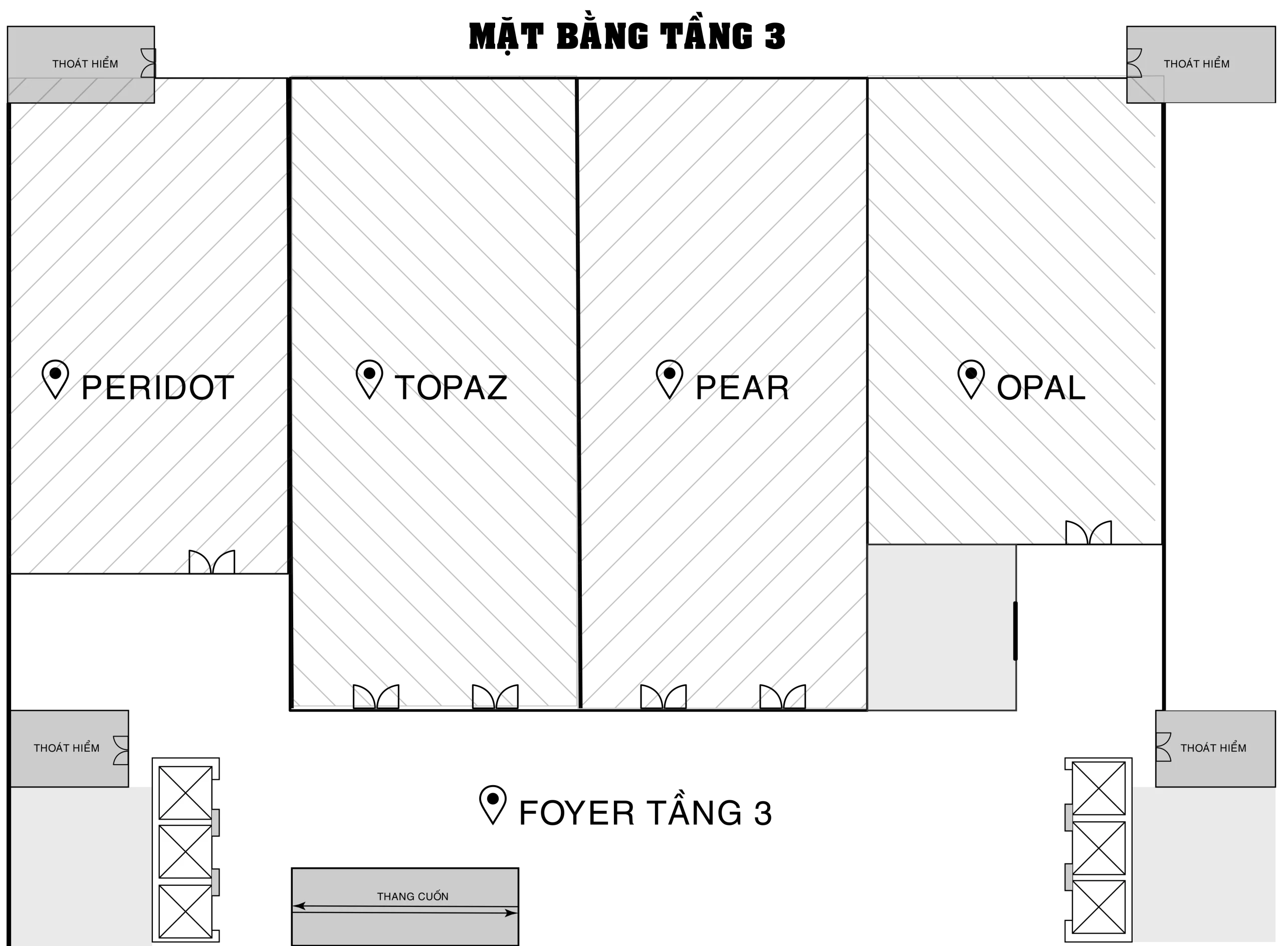 TANG 3